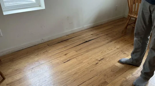 Plancher de bois franc dans un sous-sol résidentiel contemporain avec une légère courbure visible sur quelques lames près d'un mur extérieur, lumière naturelle provenant d'une fenêtre sous-sol